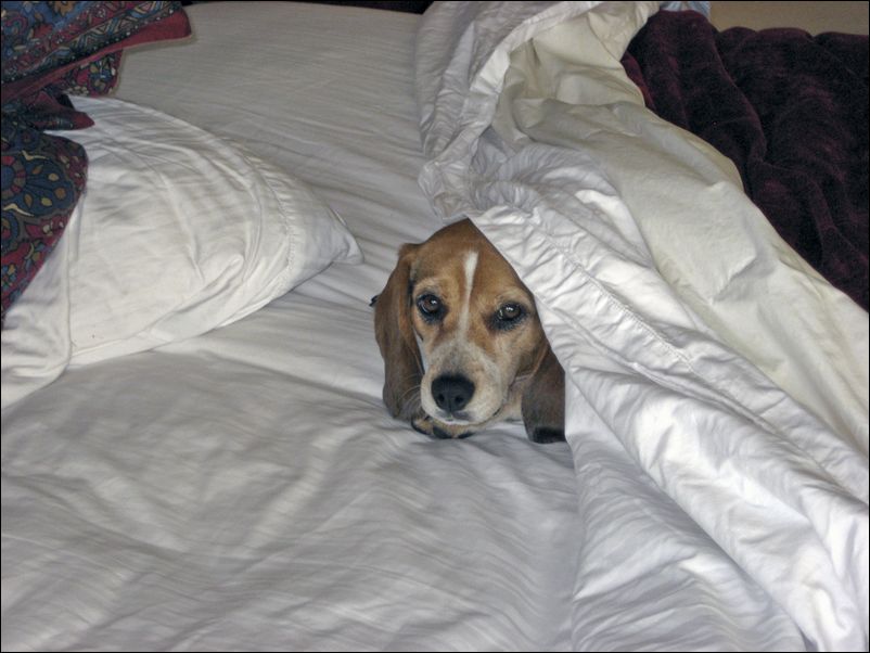 Waking up