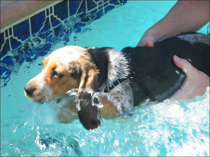 Molly's First Swimming Lesson