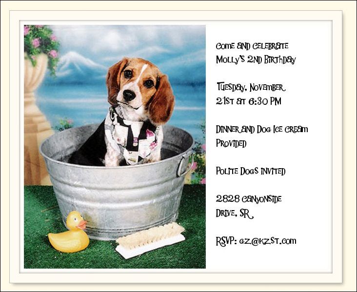 Molly's Birthday Invitation