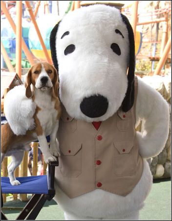 Uno with Snoopy
