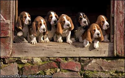 More relatives
